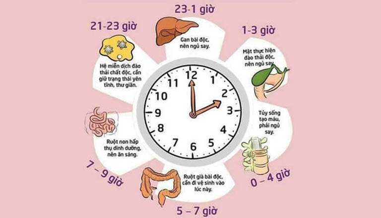 Ảnh hưởng của rối loạn giấc ngủ nhịp sinh học
