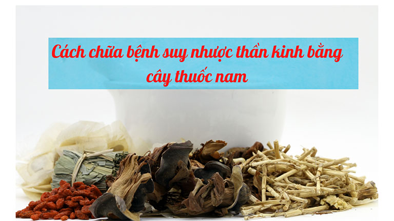cây thuốc nam chữa suy nhược thần kinh cây thuốc nam chữa suy nhược thần kinh