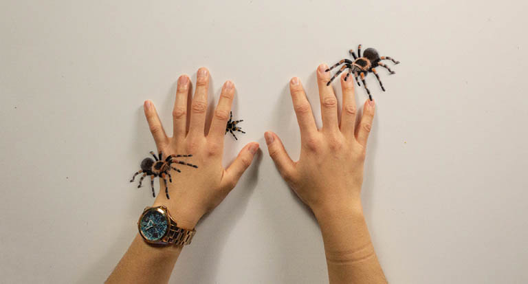 Arachnophobia Arachnophobia