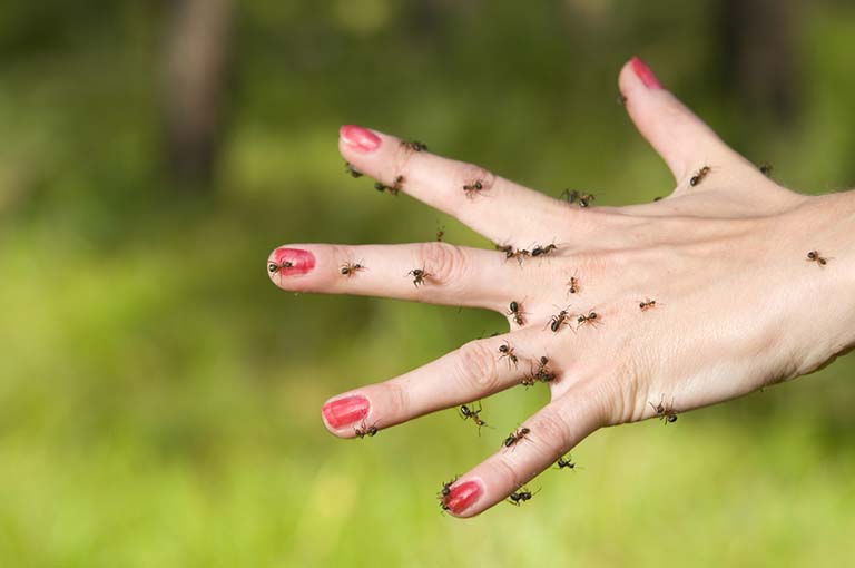 hội chứng mê sảng ký sinh trùng là gì hội chứng mê sảng ký sinh trùng là gì