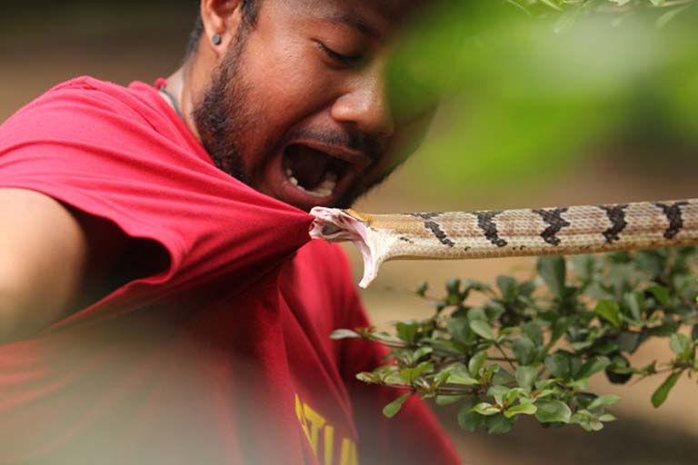 Ophidiophobia là gì Ophidiophobia là gì