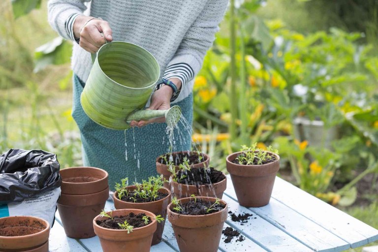 cảm giác trống rỗng trong tình yêu