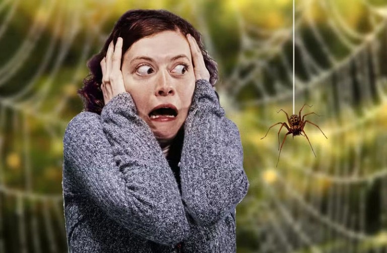 Hội chứng sợ côn trùng (Entomophobia) là gì