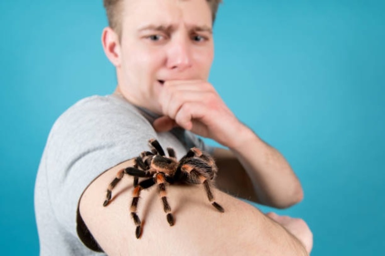 Cách vượt qua hội chứng sợ côn trùng Entomophobia