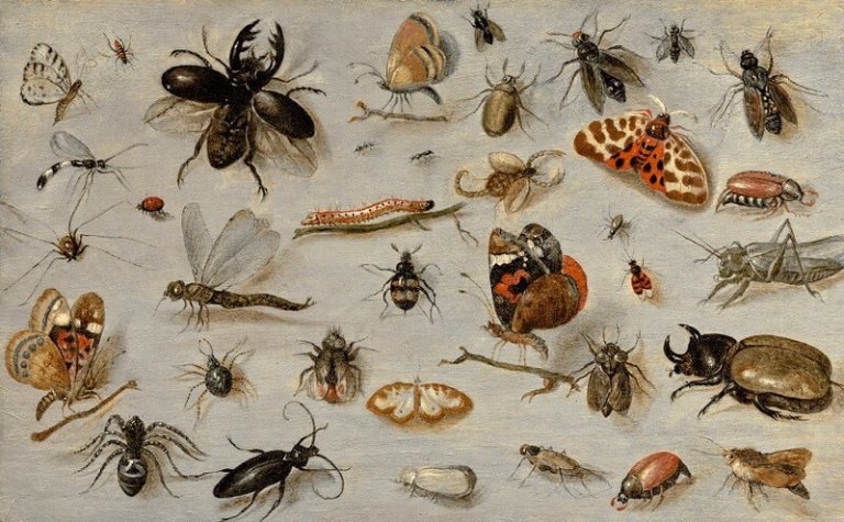 cách chữa Entomophobia