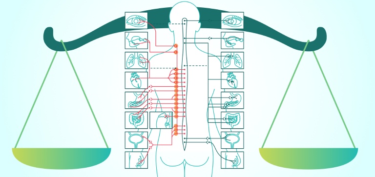 Ý nghĩa của Body Budget trong cuộc sống và sức khỏe tinh thần