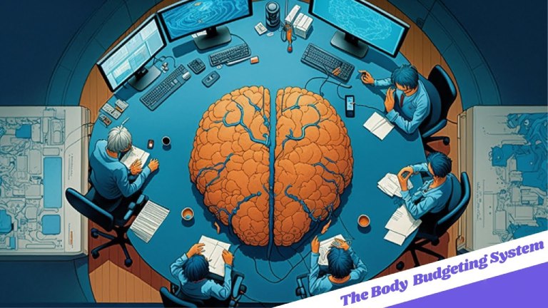 Vai trò của não bộ trong việc điều phối Body Budget 