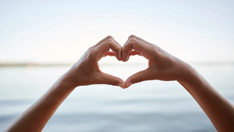 Manifest Love là gì