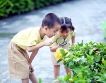 Trẻ khám phá vui chơi chạy nhảy